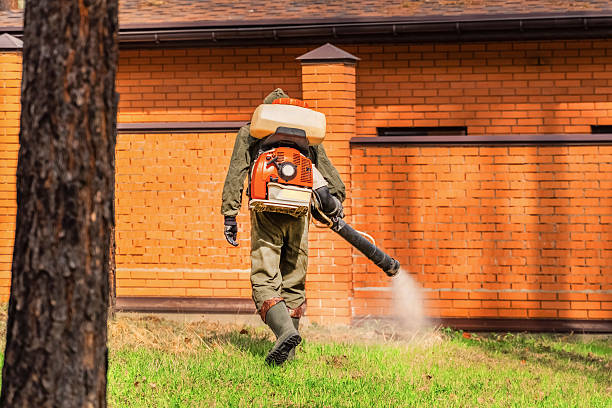 Trusted Cockroach Control service in Stockton University, NJ - Nex Pest Control